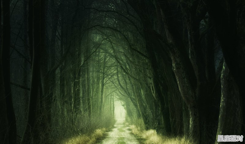 天蝎性格的十大特征,天蝎座有什么性格和天赋 - 星座运势