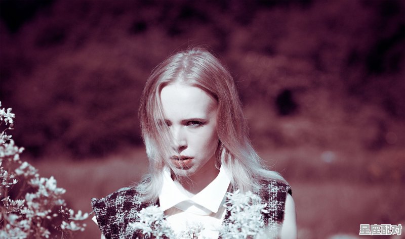 无限超越班郭晓婷介绍,虎妈什么星座 - 星座运势