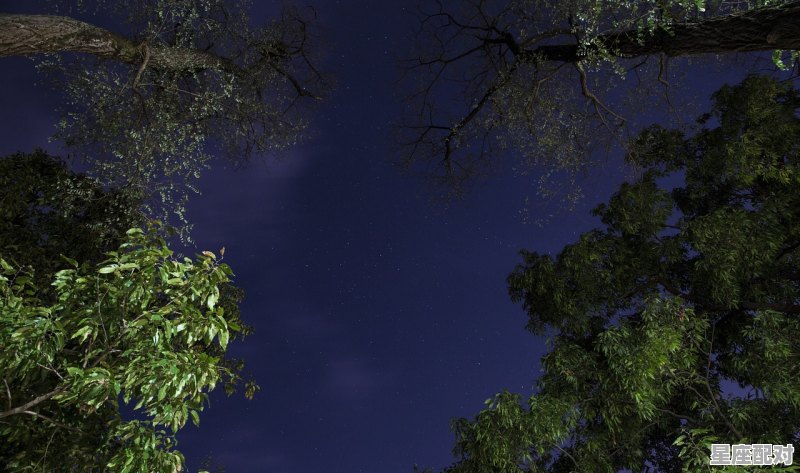 夜晚东方上空有七八颗星星在一堆的,也就是挤在一块,叫什么星星,或星座,都有什么星座 夜晚东方上空有七八颗星星在一堆的,也就是挤在一块,叫什么星星,或星座,都有什么星座 - 星座运势