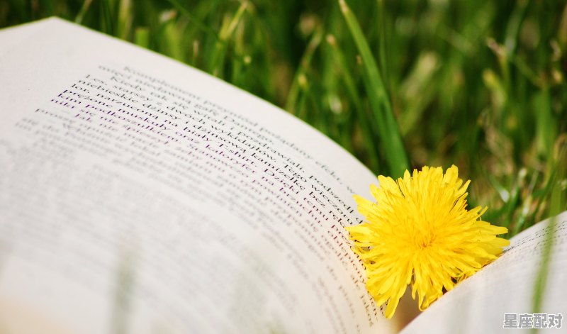 一生常见丧门是什么意思_二辰什么星座 - 星座运势