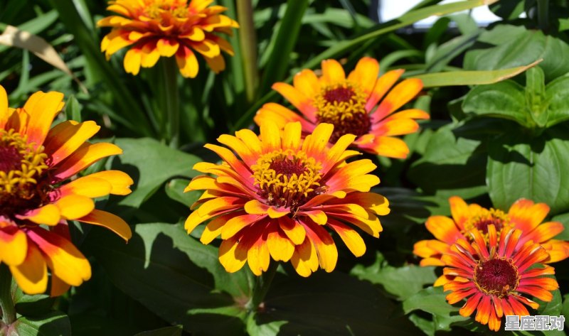 3 月是什么星座，今天什么星座 - 星座运势