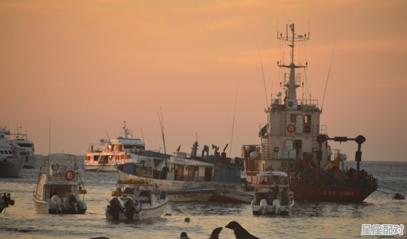 1937到2023多少年_1937年今日运势 1937到2023多少年_1937年今日运势 - 星座运势
