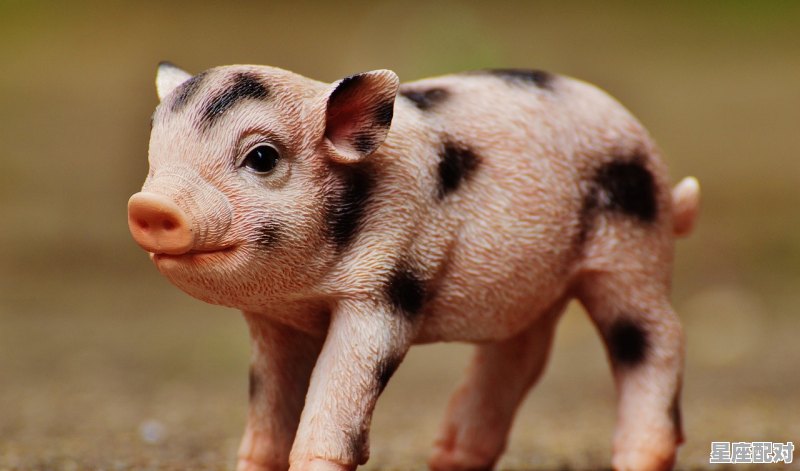 六合今见吉祥是什么动物,吉祥是什么生肖 六合今见吉祥是什么动物,吉祥是什么生肖 - 星座运势