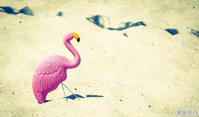 水瓶座人的性格_水瓶座什么性格 水瓶座人的性格_水瓶座什么性格 - 星座运势