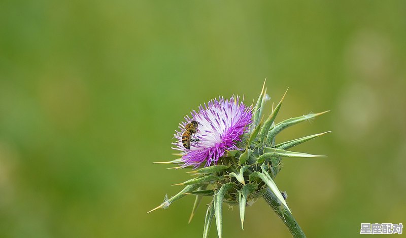 天蝎座性格脾气特点和缺点，天蝎座性格分析大全 - 星座运势