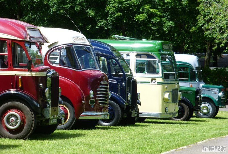 车掉水里了寓意_梦到掉水里 - 星座运势