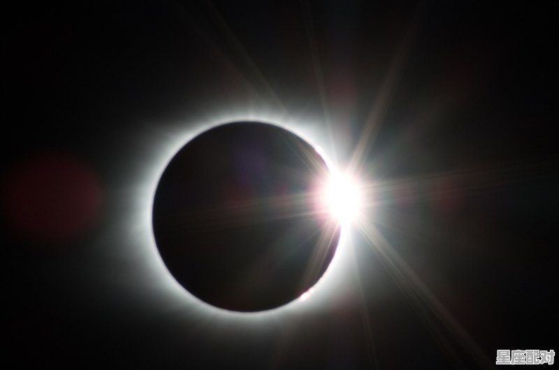 西城灯火长安梦是什么动物,梦什么生肖 西城灯火长安梦是什么动物,梦什么生肖 - 星座运势