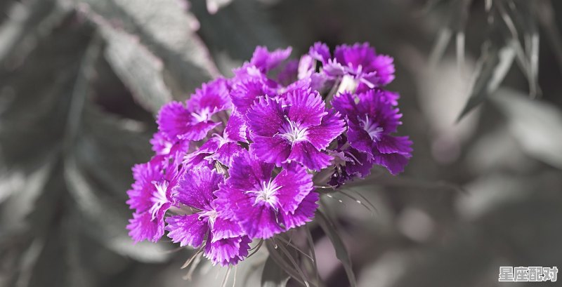 天蝎女和水瓶男配吗,水瓶男和天蝎女星座配对比重多少 天蝎女和水瓶男配吗,水瓶男和天蝎女星座配对比重多少 - 星座运势