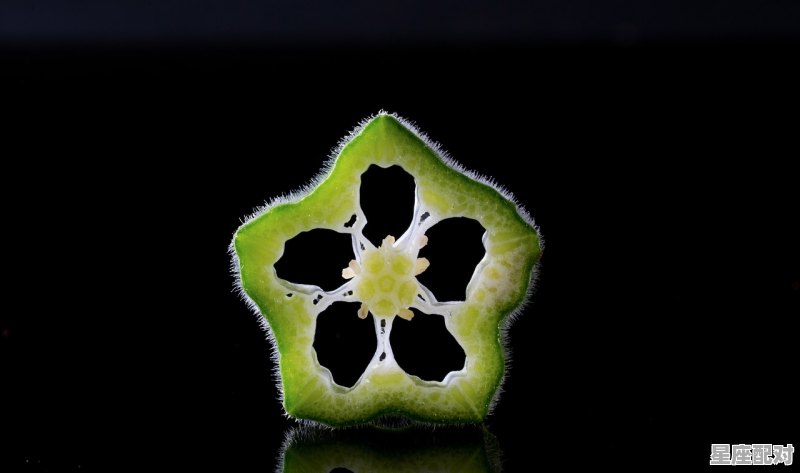 东肖地肖雨消吉肖十二相什么意思,解是什么生肖 东肖地肖雨消吉肖十二相什么意思,解是什么生肖 - 星座运势