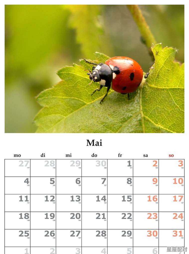 5月5号是什么月亮星座_阳历五月五是什么星座 - 星座运势