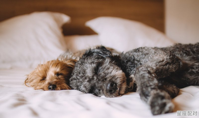 要上高中了，可是睡觉总做梦，怎么回事，梦到高中 - 星座运势