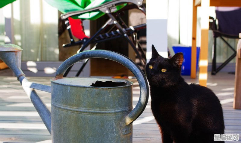 金牛座男生的性格脾气及弱点_ab型金牛男性格特点 - 星座运势