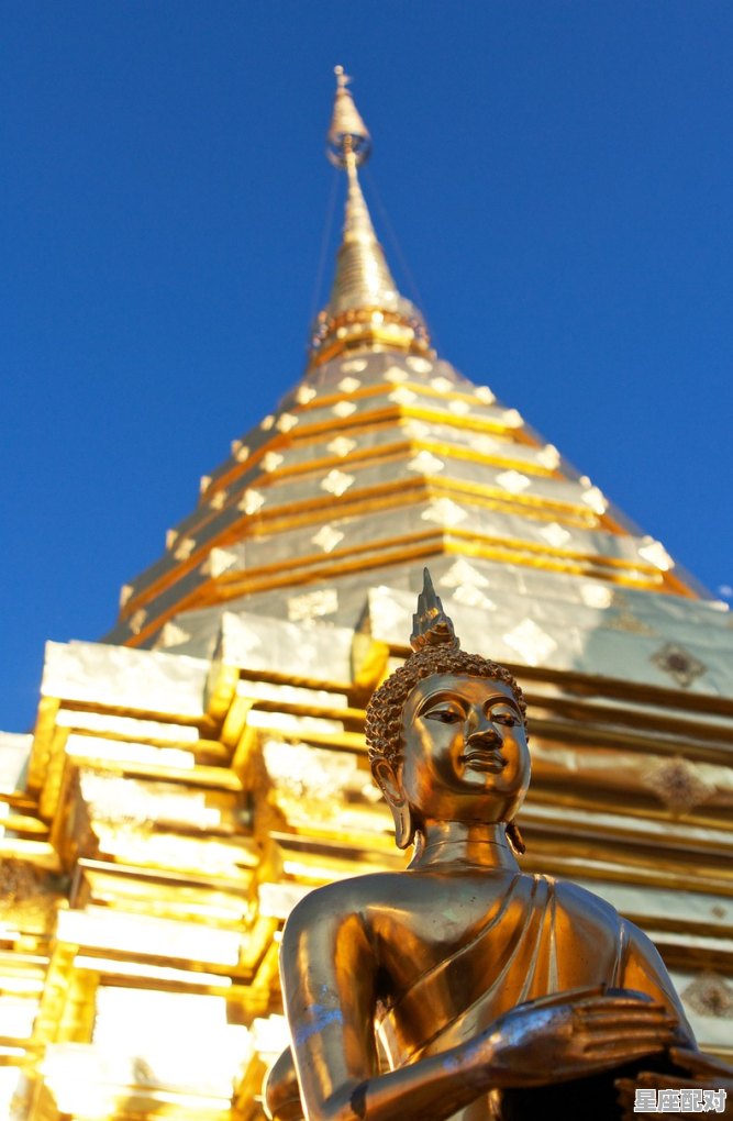 南方过春节的习俗有哪些，南方的过年都有哪些习俗 - 星座运势