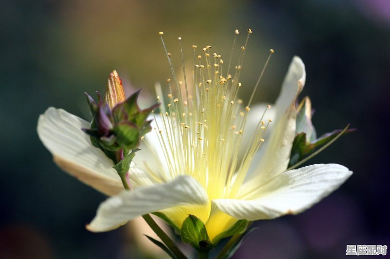 怎么辨别自己太阳天蝎和月亮天蝎,夫妻太阳星座和月亮星座配对怎么看的懂 怎么辨别自己太阳天蝎和月亮天蝎,夫妻太阳星座和月亮星座配对怎么看的懂 - 星座运势
