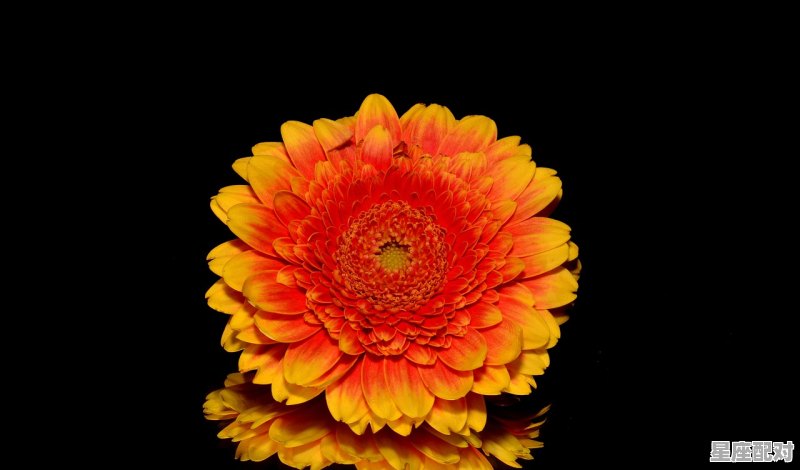 九月份是什么星座,九月份什么星座 九月份是什么星座,九月份什么星座 - 星座运势