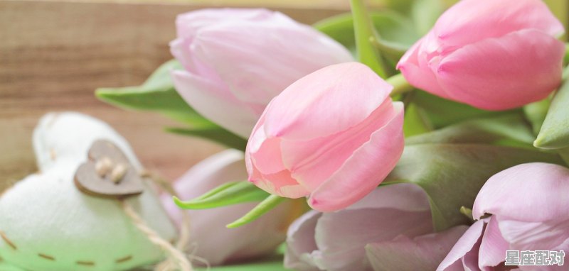 五月份是什么星座,五月什么星座月份 五月份是什么星座,五月什么星座月份 - 星座运势