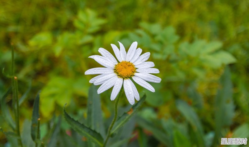 白羊跟天蝎契合的点是什么_白羊配天蝎下一句是啥 白羊跟天蝎契合的点是什么_白羊配天蝎下一句是啥 - 星座运势