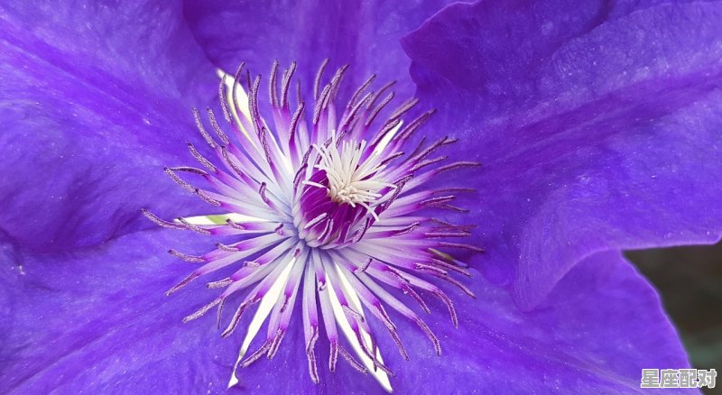 2021年双鱼座总结_双鱼今日运势搜狐 2021年双鱼座总结_双鱼今日运势搜狐 - 星座运势