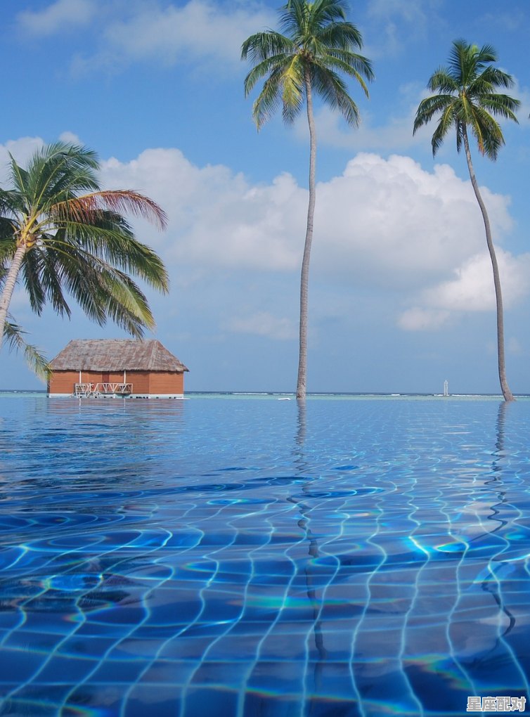 三亚凤凰岛南海之梦多少天开一次,梦到凤凰 - 星座运势