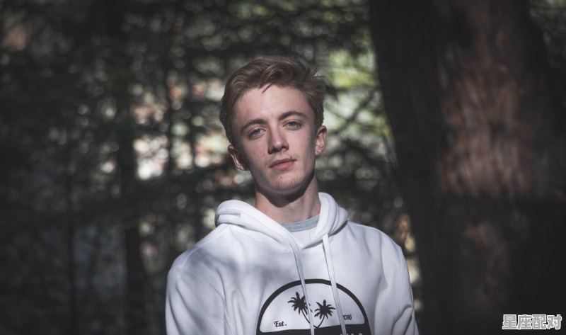 十大谋略家排行榜,刘炜什么星座 - 星座运势