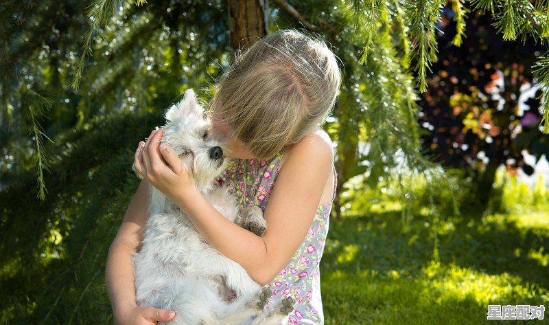 怎样对女孩表达自己的心,梦到闺女 怎样对女孩表达自己的心,梦到闺女 - 星座运势