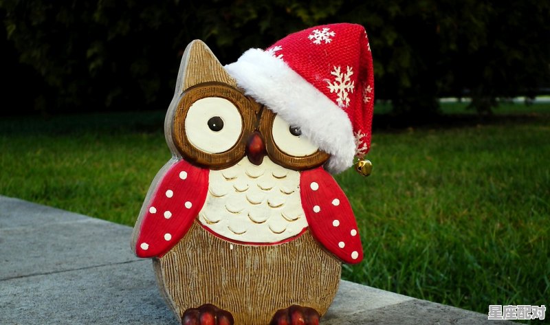 12月13日特吉运势_八几年的属鸡 12月13日特吉运势_八几年的属鸡 - 星座运势