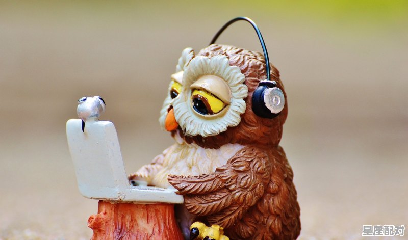 四海是什么动物_四海一家是什么动物 四海是什么动物_四海一家是什么动物 - 星座运势