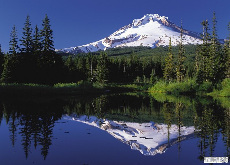 小雁塔是怎么变成13层,赵祯什么星座 小雁塔是怎么变成13层,赵祯什么星座 - 星座运势