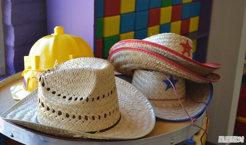 头戴红帽子身披五彩衣是什么动物_21年是什么属相年 头戴红帽子身披五彩衣是什么动物_21年是什么属相年 - 星座运势