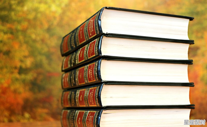 关于端午节的习俗英语翻译，中国习俗的翻译 - 星座运势