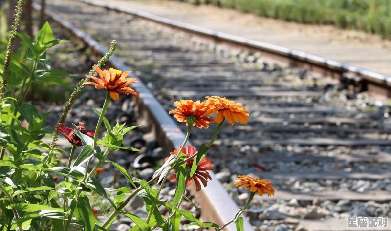 2004出生但没过年属什么_1967年阴历4月30属羊侽爱情运势 - 星座运势