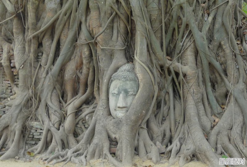 梦到一个小孩,梦到一个小孩 - 星座运势