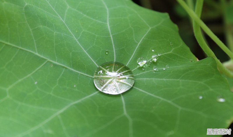 10月到9月出生的孩子是什么座,9月10是什么星座 10月到9月出生的孩子是什么座,9月10是什么星座 - 星座运势