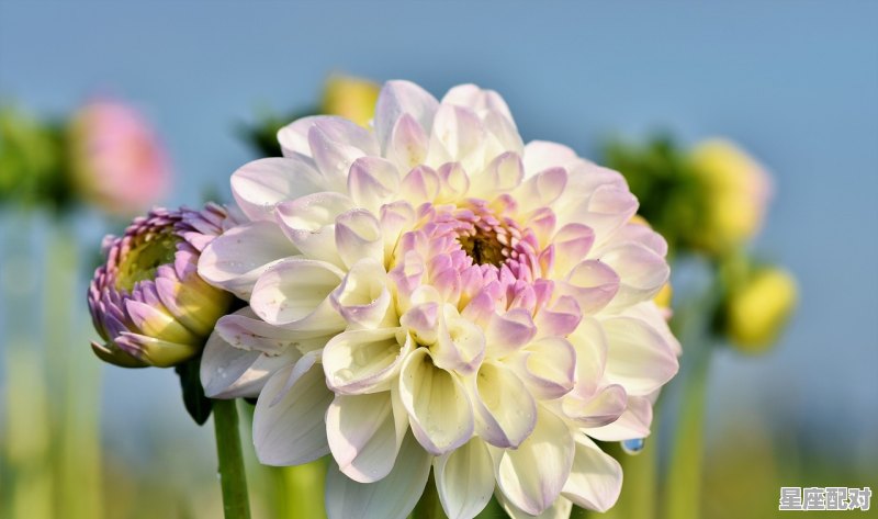 桃花尽日随流水,隐隐飞桥隔野烟。猜12属相,解释一下谢谢,桃是什么生肖 桃花尽日随流水,隐隐飞桥隔野烟。猜12属相,解释一下谢谢,桃是什么生肖 - 星座运势