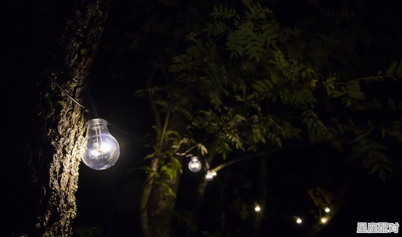 为什么“鸡”又叫“小凤凰”_四下凤凰羞不举,灯暗人稀雨夜花出自那里 为什么“鸡”又叫“小凤凰”_四下凤凰羞不举,灯暗人稀雨夜花出自那里 - 星座运势