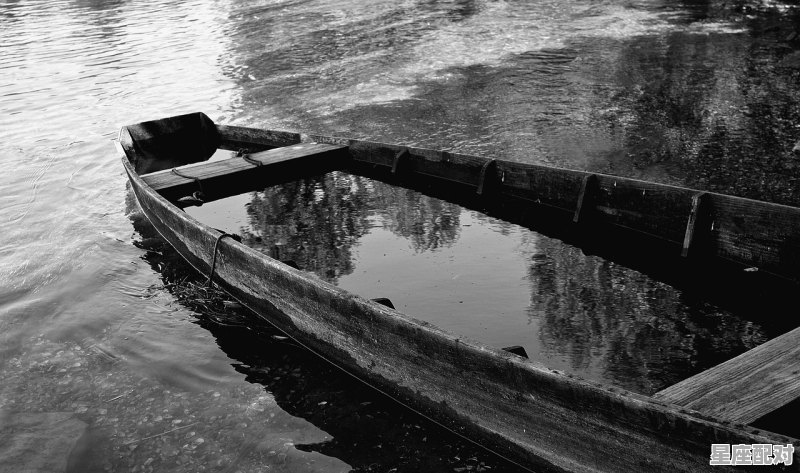 锦鲤的寓意和象征是什么，梦到锦鲤 - 星座运势