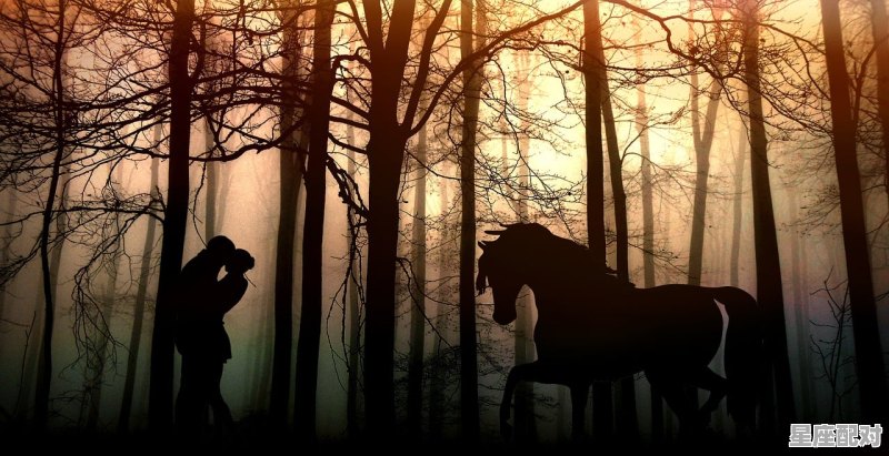 不喜欢主动联系恋人的星座_射手座会主动求复合吗 - 星座运势