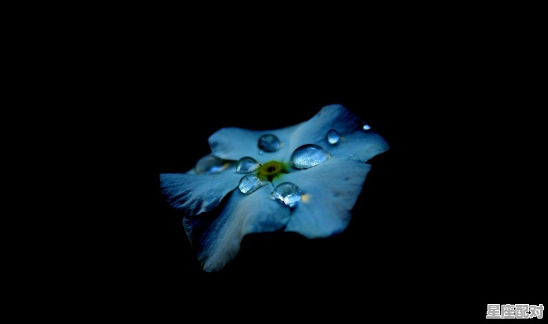 兔年是什么星座,属兔金牛座男生性格 - 星座运势