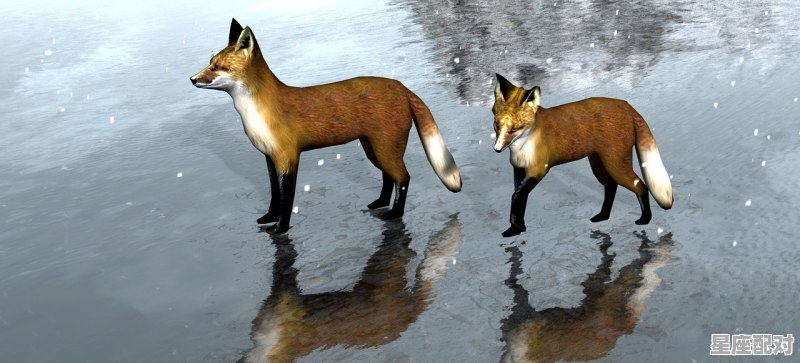 冰瓯雪碗打一动物_冰冻三尺是指什么动物 - 星座运势