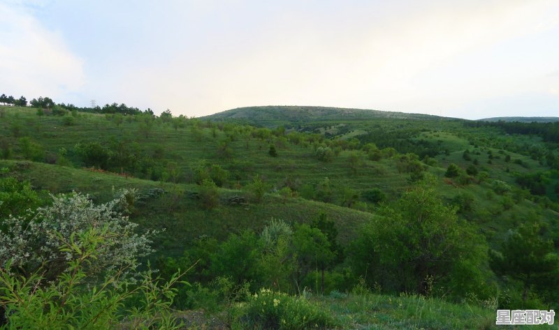 镇南关在广西哪里_九大关是哪九关 - 星座运势