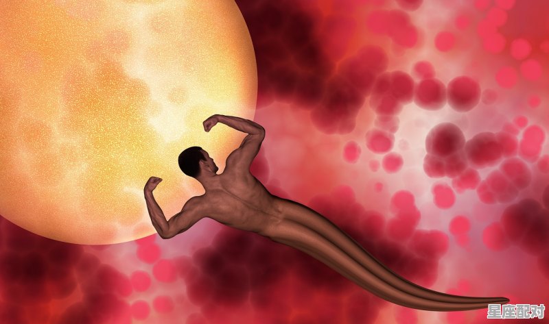 巨蟹和水瓶最佳配对第一名_水瓶男遇到了的巨蟹女他们会怎样 巨蟹和水瓶最佳配对第一名_水瓶男遇到了的巨蟹女他们会怎样 - 星座运势