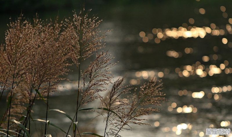 夜晚河边散步的美好句子_云南靠河的县 - 星座运势