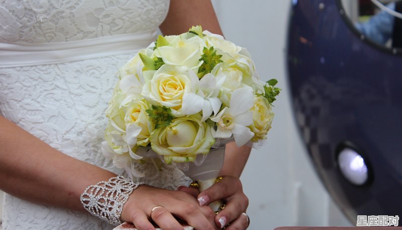 玫瑰祈祷今日运势,玫瑰祈祷今日运势 玫瑰祈祷今日运势,玫瑰祈祷今日运势 - 星座运势