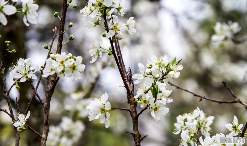 2021年农历十一月哪几天是黄道吉日_乔迁大吉祝福语短句 2021年农历十一月哪几天是黄道吉日_乔迁大吉祝福语短句 - 星座运势