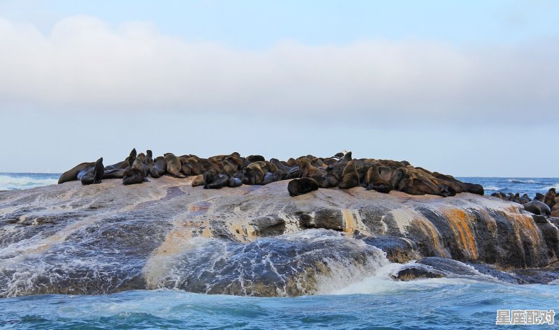 赶海哪个岛好玩,澄海出花园习俗 - 星座运势
