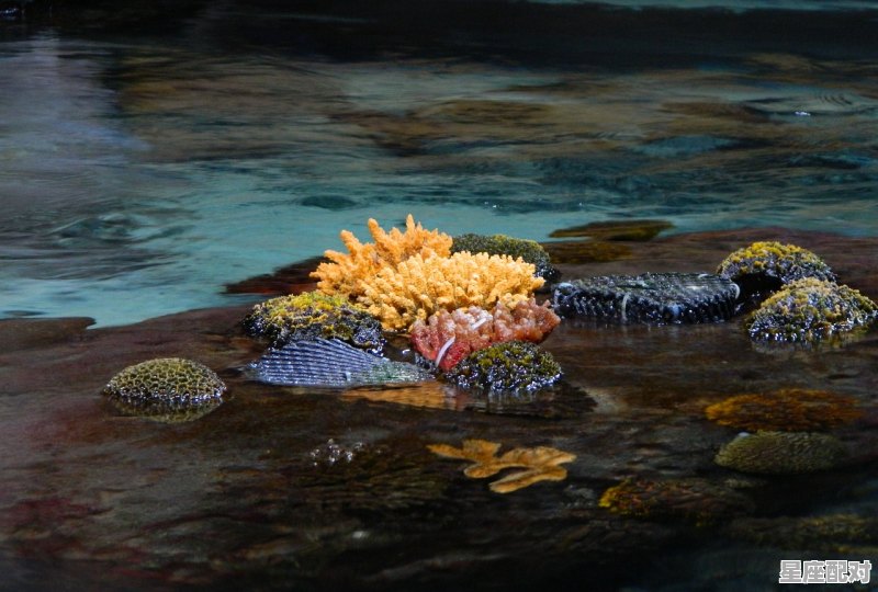 梦春的含义,梦到下雨天 梦春的含义,梦到下雨天 - 星座运势