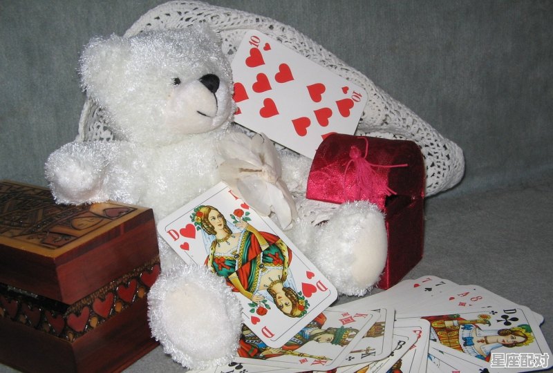 書是什么动物,纸是什么生肖 - 星座运势