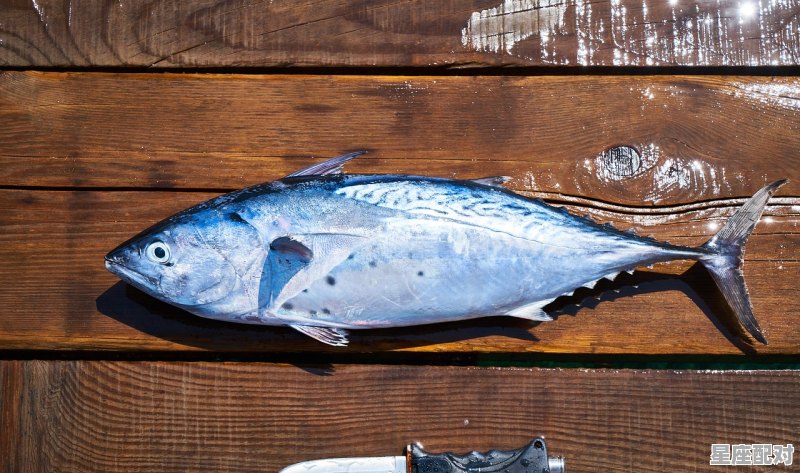 梦到好吃的,梦到好吃的 - 星座运势