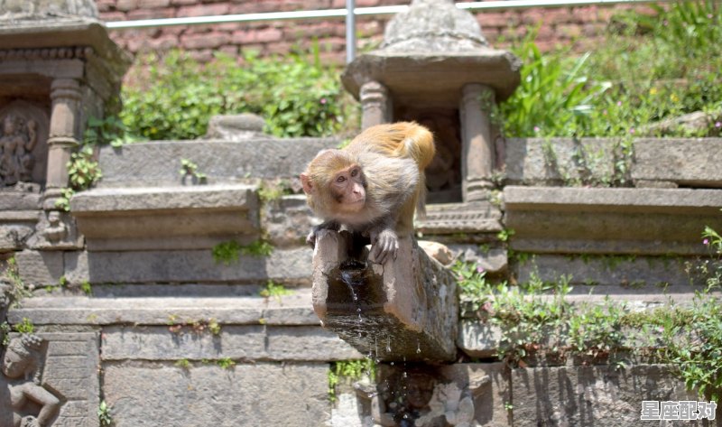 身份证上面是6月8日是什么星座，6月8日是什么星座的 - 星座运势
