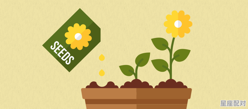 金牛座幸运数,今日羊星座运势 金牛座幸运数,今日羊星座运势 - 星座运势